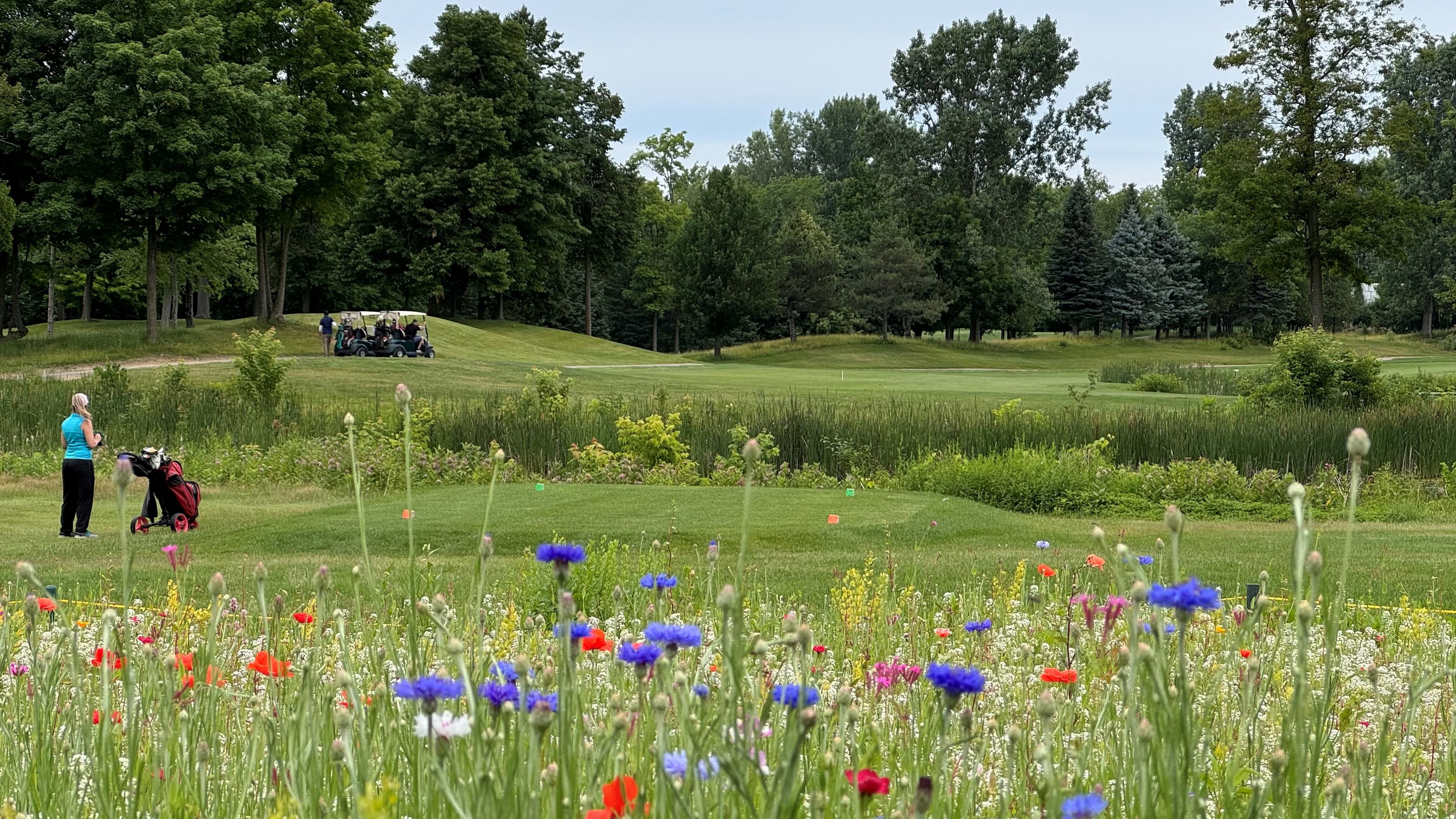Ste-Rose (Club de golf) golf course