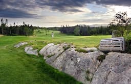 Course Image 1