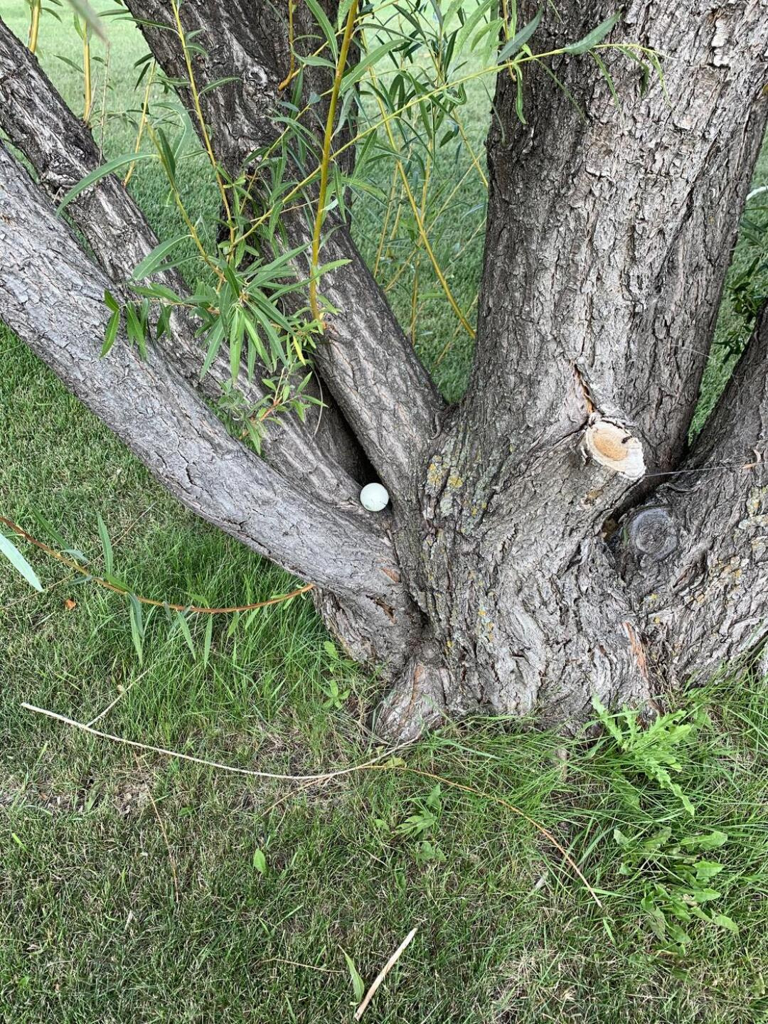Transcona Golf Club golf course