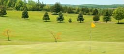 Course Image 1