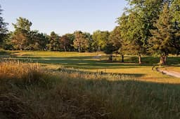 Course Image 3