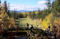 Course Image 2