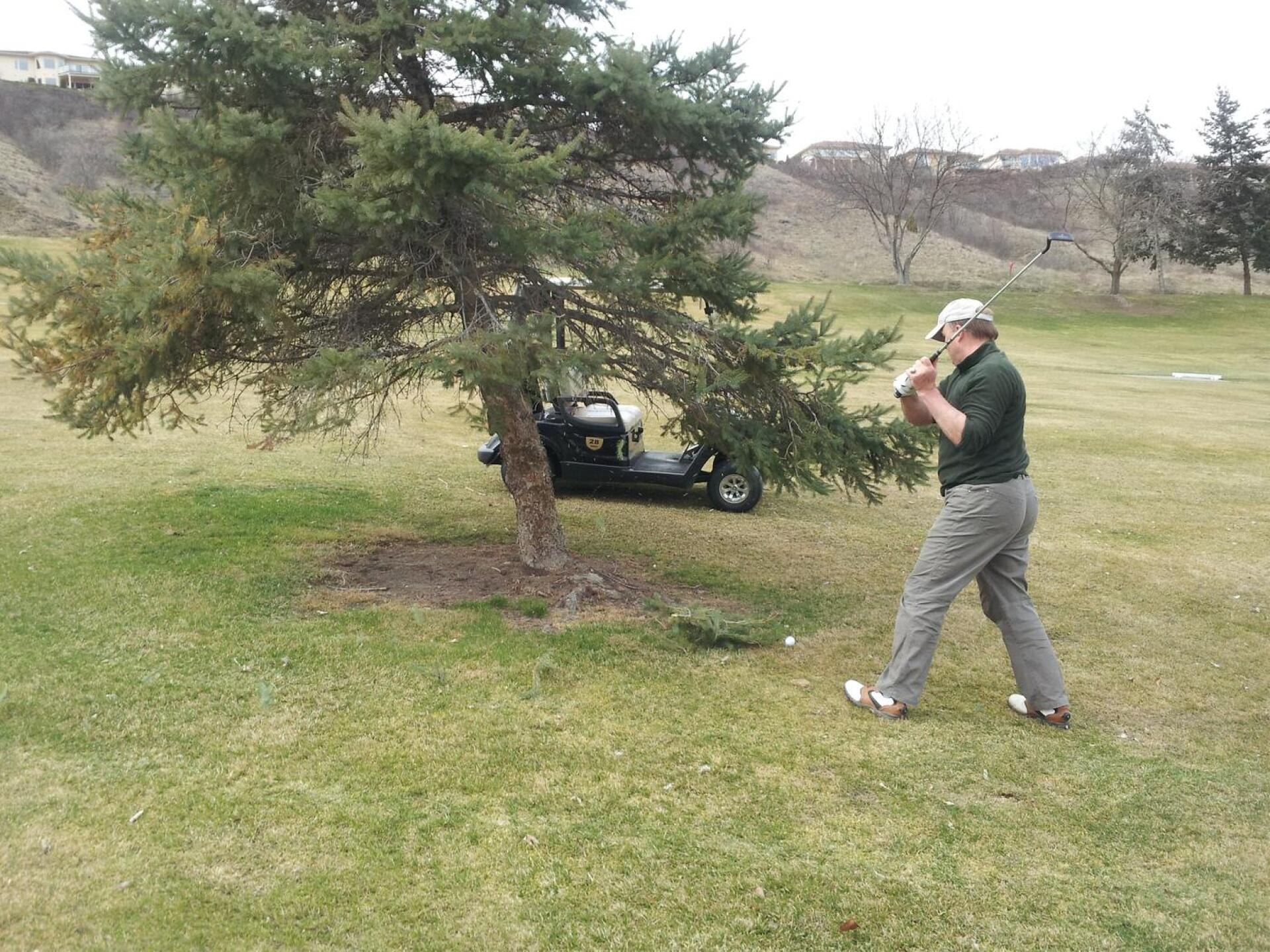 Vernon Golf & Country Club golf course