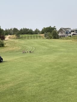 Course Image 3